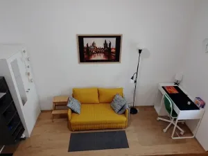 Prodej bytu 1+kk, Praha - Nové Město, Sokolská, 22 m2