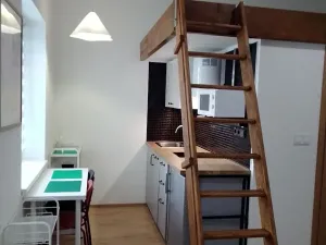 Prodej bytu 1+kk, Praha - Nové Město, Sokolská, 22 m2