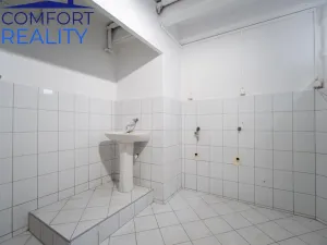 Prodej rodinného domu, Ostrava - Moravská Ostrava, Na Bělidle, 480 m2