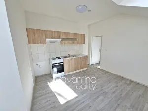Pronájem ubytování, Brno, Cacovická, 329 m2