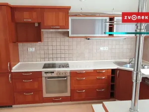 Pronájem rodinného domu, Zlín, Na Výsluní, 270 m2