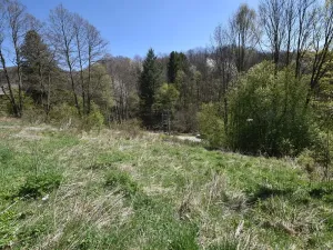 Prodej pozemku pro bydlení, Jeseník, 3985 m2