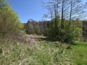 Prodej pozemku pro bydlení, Jeseník, 3985 m2