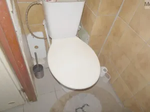 Prodej bytu 2+kk, Louny, Poděbradova, 51 m2