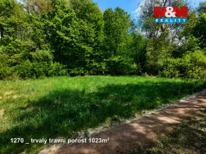 Prodej pozemku, Pňov-Předhradí, 151762 m2