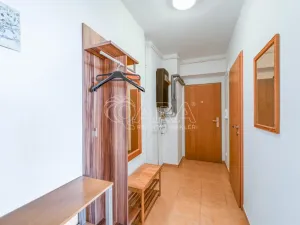 Pronájem bytu 1+kk, Klatovy - Klatovy III, Luční, 47 m2