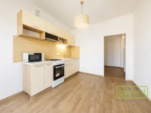 Prodej bytu 2+1, Ostrov, S. K. Neumanna, 64 m2