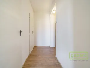 Prodej bytu 2+1, Ostrov, S. K. Neumanna, 64 m2