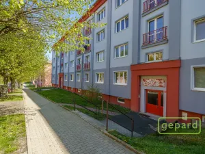 Prodej bytu 2+1, Ostrov, S. K. Neumanna, 64 m2