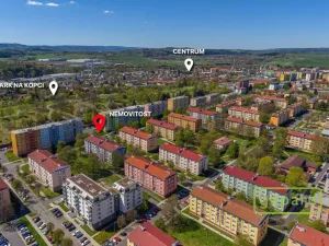 Prodej bytu 2+1, Ostrov, S. K. Neumanna, 64 m2