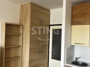 Pronájem bytu 1+kk, Ostrava, Plk. Rajmunda Prchaly, 29 m2
