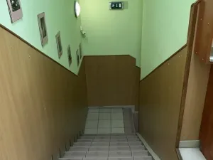 Pronájem obchodního prostoru, Brno, Křenová, 456 m2