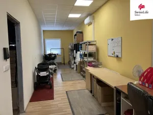 Pronájem obchodního prostoru, Brno, Křenová, 456 m2