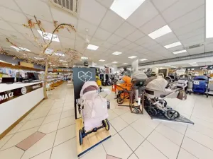 Pronájem obchodního prostoru, Brno, Křenová, 456 m2