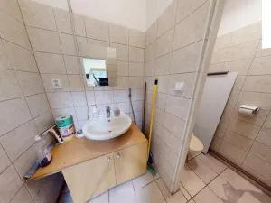 Pronájem obchodního prostoru, Brno, Křenová, 456 m2