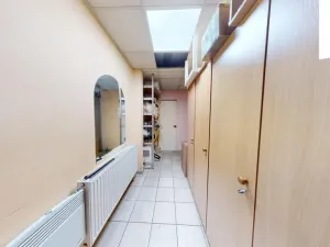 Pronájem obchodního prostoru, Brno, Křenová, 456 m2
