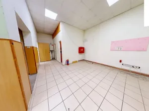Pronájem obchodního prostoru, Brno, Křenová, 456 m2