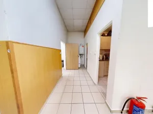 Pronájem obchodního prostoru, Brno, Křenová, 456 m2