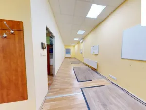 Pronájem obchodního prostoru, Brno, Křenová, 456 m2