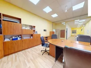 Pronájem obchodního prostoru, Brno, Křenová, 456 m2