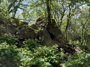 Prodej pozemku, Tuchoměřice, 1090 m2
