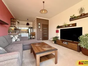 Pronájem bytu 2+kk, Brno - Slatina, 53 m2