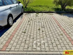 Pronájem bytu 2+kk, Brno - Slatina, 53 m2