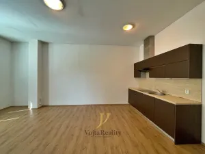 Pronájem bytu 1+kk, Olomouc, Skupova, 40 m2