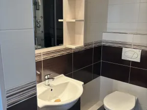 Pronájem bytu 1+kk, Hradec Králové, Brožíkova, 22 m2