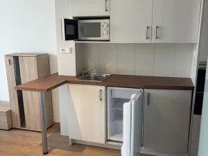 Pronájem bytu 1+kk, Hradec Králové, Brožíkova, 22 m2