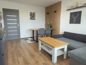 Prodej bytu 3+1, Teplá, Palackého, 79 m2