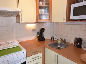 Pronájem bytu 2+kk, Olomouc - Nová Ulice, Před lipami, 51 m2