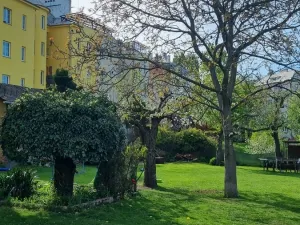 Pronájem bytu 2+kk, Olomouc - Nová Ulice, Před lipami, 51 m2