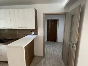 Pronájem bytu 2+kk, Ostrava, Krylovova, 50 m2