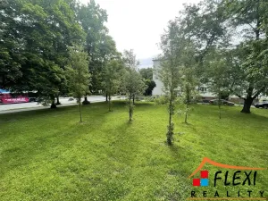Pronájem bytu 2+kk, Ostrava, Krylovova, 50 m2