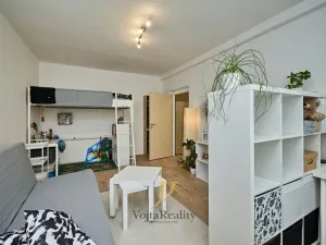 Pronájem bytu 1+1, Olomouc - Nová Ulice, Dělnická, 41 m2