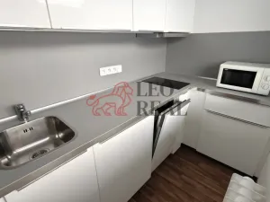 Pronájem bytu 1+kk, Praha - Podolí, Kaplická, 33 m2