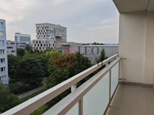Pronájem bytu 1+kk, Praha - Podolí, Kaplická, 33 m2