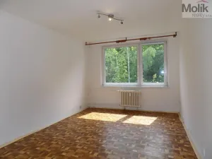 Prodej bytu 2+kk, Teplice, Pražská, 39 m2