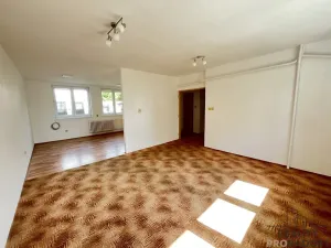 Prodej rodinného domu, Velký Karlov, 140 m2