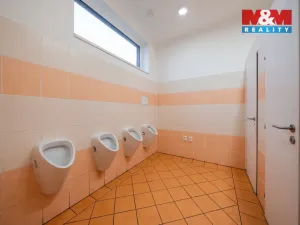 Prodej obchodního prostoru, Olomouc - Nemilany, 600 m2