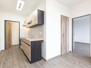 Prodej podílu 46/1000 bytu 2+1, Ryžoviště, Tovární, 52 m2
