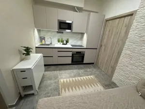 Pronájem bytu 2+kk, Praha - Nové Město, Sokolská, 20 m2