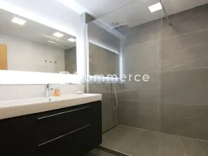 Pronájem bytu 3+kk, Brno, Kosmova, 76 m2