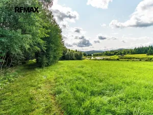 Prodej pozemku, Nová Pec, 9752 m2