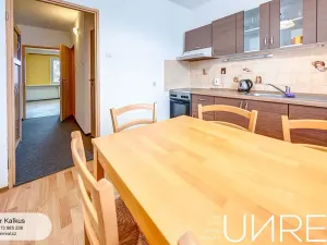 Pronájem bytu 2+1, Dvůr Králové nad Labem, Odbojářů, 56 m2