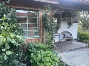 Prodej rodinného domu, Nová Ves u Mladé Vožice - Horní Střítež, 150 m2