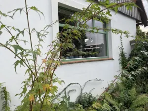 Prodej rodinného domu, Nová Ves u Mladé Vožice - Horní Střítež, 150 m2