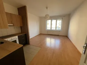 Pronájem bytu 1+kk, Praha - Záběhlice, Velenovského, 30 m2