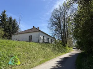 Prodej obchodního prostoru, Opařany - Oltyně, 300 m2